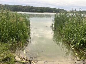 Неподалік Львова з озера дістали мертвого молодого чоловіка (ФОТО)