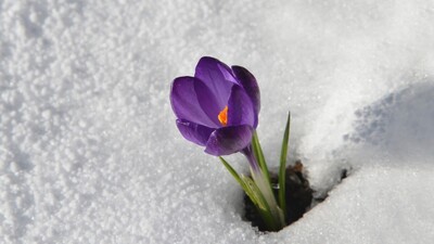 Якою буде погода на Львівщині у понеділок