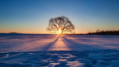 Якою буде погода у Львові та області завтра, 3 лютого