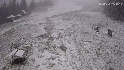 Повернення зими: на Львівщині випав сніг посеред травня (ВІДЕО)