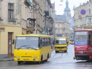 У Львові поступово збільшуватимуть кількість громадського транспорту