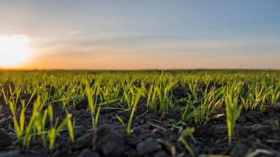 На Львівщині у громадянки рф конфіскували землю на користь держави