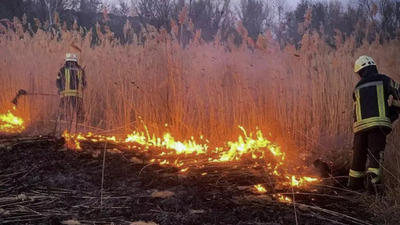 Поблизу Львова рятуючи житлові будинку від пожежі, яка підступала з полів, постраждав чоловік