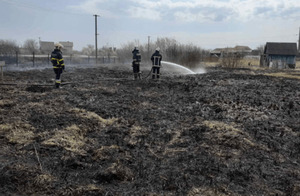 За одну добу на Львівщині зафіксовано 54 пожежі сухої трави в полі й на присадибних ділянках