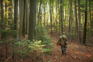 На Львівщині зниклого грибника знайшли мертвим