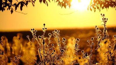 Якою буде погода у Львові та області завтра, 2 вересня