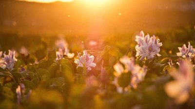 Якою буде погода у Львові та області завтра, 1 серпня