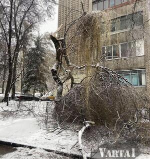 Пориви на мережах, поламані дерева: наслідки негоди у Львові (ФОТО)