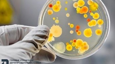 Зросла кількість постраждалих від спалаху кишкової інфекції у відпочинковому таборі на Львівщині (ВІДЕО)