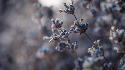 Якою буде погода у Львові та області завтра, 11 квітня