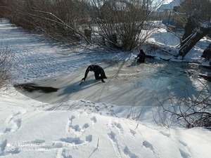 В одному із сіл Золочівщини водолази витягли з річки тіло 71-річної жінки (фото)