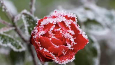 Якою буде погода у Львові та області завтра, 28 вересня