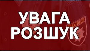 На Львівщині розшукують водія, який збив пішохода і покинув травмованого на дорозі