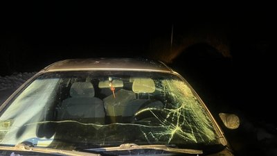 На Львівщині пʼяний водій збив двох пішоходів