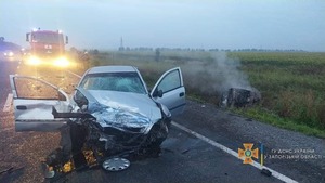 Згоріли живцем троє дітей: у моторошній ДТП «Mercedes» та «Opel» п'ять людей загинуло (ФОТО)