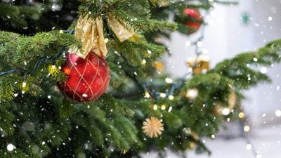 ЛМР опублікувала перелік 25 місць з офіційним продажем ялинок