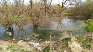 Рятувальники допомогли чоловіку, який застряг у болоті у Львові