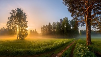 Якою буде погода у Львові та області завтра, 13 липня