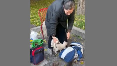 Біля церкви у Львові жінка тримала в руках виснажених котів заявляючи про можливе жертвоприношення тварин (ВІДЕО)