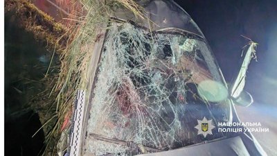 На Прикарпатті водійка з'їхала у кювет: загинула пасажирка