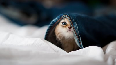 Якою буде погода у Львові та області завтра, 13 травня