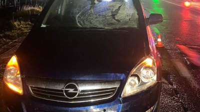 Біля Львова жінка-пішохід стала жертвою наїзду чотирьох автомобілів (ФОТО)