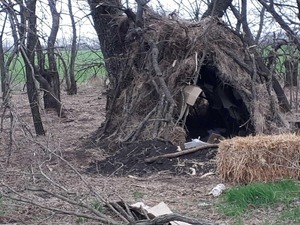 Жили у дуплі: на Миколаївщині «друга армія світу» збудувала собі «апартаменти» (ФОТО)