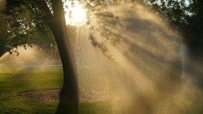 Якою буде погода у Львові та області завтра, 28 липня