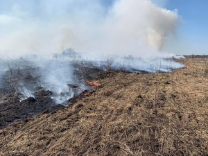 На Львівщині за добу 47 разів горіла суха трава