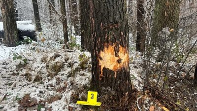 На Золочівщині перекинувся автомобіль