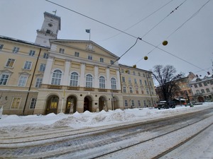 Львів вкрило снігом: стан доріг (фоторепортаж, відео)