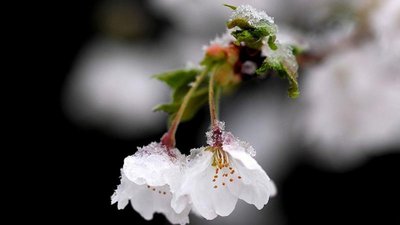 Заморозки та пожежна небезпека: прогноз погоди у Львові та області на 2 травня