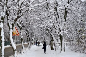 Львів "скують" морози до 15 градусів: якою буде погода у Львові на вихідних