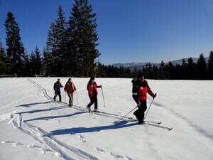 На Львівщині відкриють новий лижний маршрут на гору Ільза