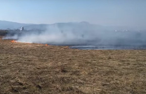 Горить знаменита «Долина нарцисів» на Закарпатті (фото, відео)