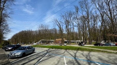 У Львові попередили водіїв про тимчасову зміну організації руху біля Шевченківського гаю