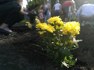 У Львові провели акцію "Саджайте квіти, а не людей" (фото, відео)