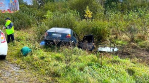 Авто з'їхало в кювет: у ДТП на Прикарпатті загинула 11-річна дівчинка (ФОТО)