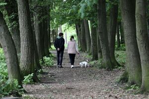 У Львові обіцяють облаштувати новий майданчик для вигулу собак 