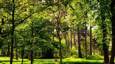 На майже 3 га землі: у Львові з'явився новий парк