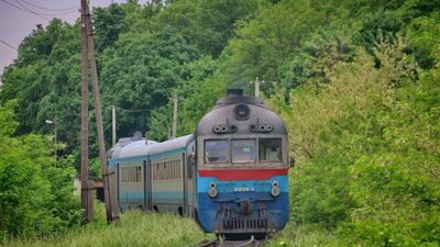 На Львівщині дерево впало на вагон приміського потяга: є постраждалі