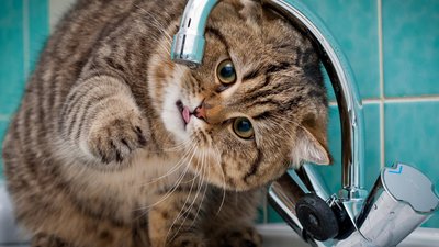 У Львові стався прорив на водопроводі