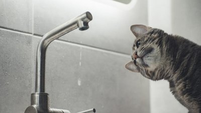 У вівторок частина Львова буде без води