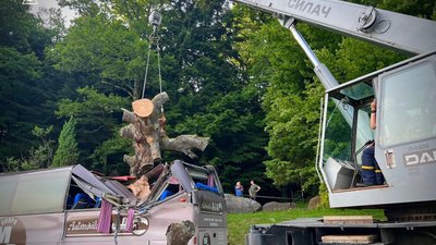 Дерево з історичною цінністю впало на автобус на Львівщині: рятувальники показали, як ліквідовували наслідки (ФОТО)