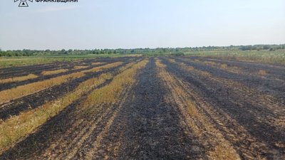 На Прикарпатті під час пожежі сухої трави загинув чоловік