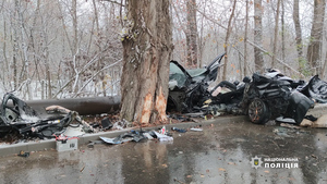 Жахлива ДТП з загиблими: на Буковині водій «BMW» влетів в дерево (ФОТО, ВІДЕО)