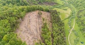 У мережі опублікували вражаючі фото наслідків вирубок дерев у Карпатах