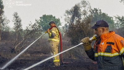 Вогнеборці Львівщини за добу ліквідували 10 пожеж в екосистемах