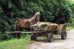 На Львівщині, внаслідок зіткнення авто з гужовою підводою, загинув чоловік