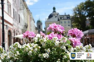 Львівські вулички прикрасили квітами (фото)